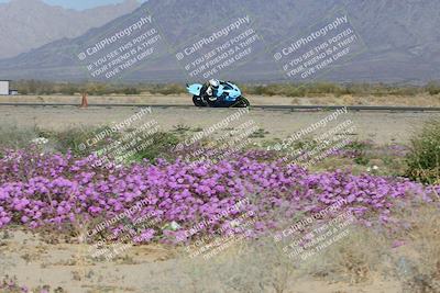 media/Feb-04-2023-SoCal Trackdays (Sat) [[8a776bf2c3]]/Turn 15 Inside Blooming (1050am)/